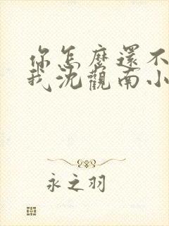 你怎么还不来哄我沈观南小说免费阅读