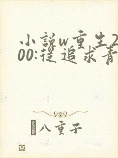 小说w重生2000:从追求青涩校花同桌开始,