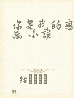 你是我的恋恋不忘 小说