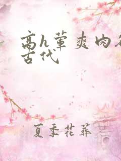 高h荤爽肉欲文古代