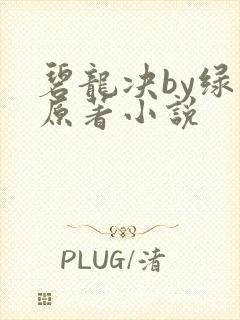 碧龙决by绿文原著小说