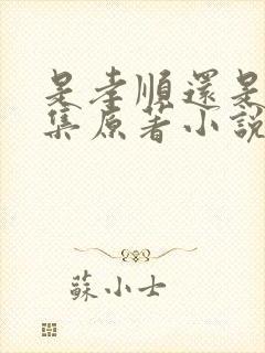 是孝顺还是乱续集原著小说在哪看