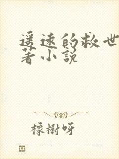 遥远的救世主原著小说