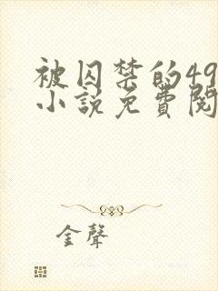 被囚禁的49天小说免费阅读