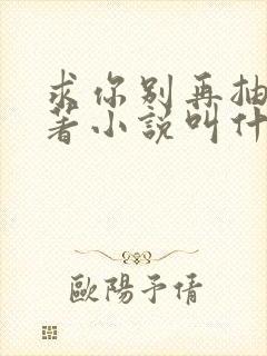 求你别再抽了原著小说叫什么