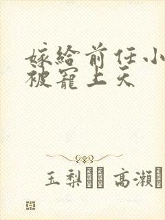 嫁给前任小叔后被宠上天