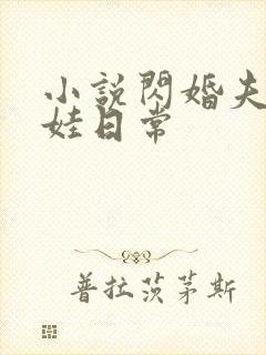 小说闪婚夫妻宠娃日常