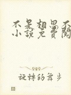 不是相思不落愁小说免费阅读