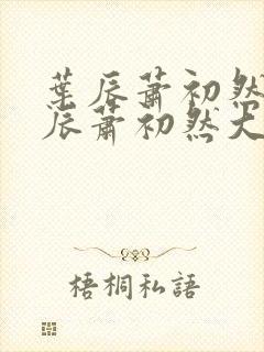 叶辰萧初然 叶辰萧初然大结局