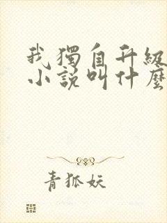 我独自升级原著小说叫什么