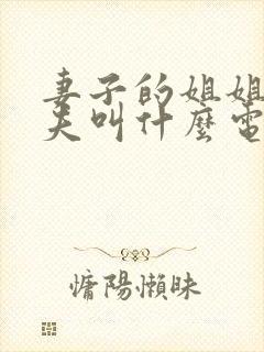 妻子的姐姐的丈夫叫什么电视剧