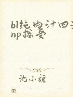 bl纯肉汁四溅np总受