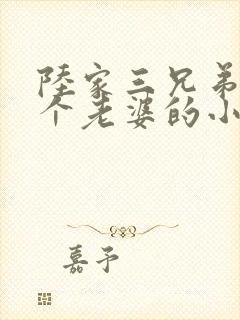 陆家三兄弟共一个老婆的小说