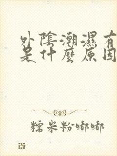 外阴潮湿有点痒是什么原因怎么办