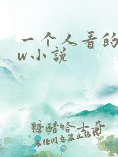 一个人看的www小说