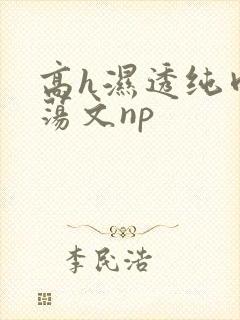 高h湿透纯肉放荡文np