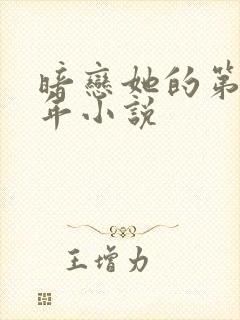 暗恋她的第十一年小说