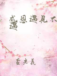 感恩遇见不负相遇