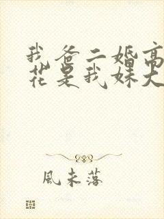 我爸二婚高冷校花是我妹大姐扮演者