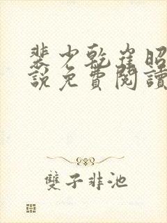 裴少乾崔昭懿小说免费阅读最新章节