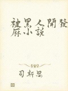 被黑人开发的麻麻小说