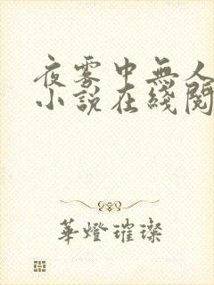 夜雾中无人爱我小说在线阅读