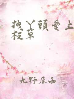 拽丫头爱上冷酷校草