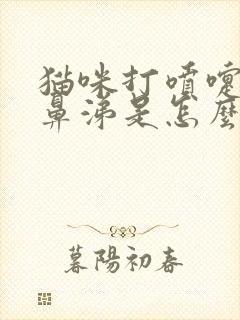 猫咪打喷嚏流浓鼻涕是怎么回事