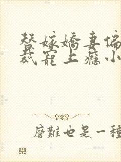 替嫁娇妻偏执总裁宠上瘾小说下载