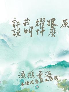 许我耀眼原著小说叫什么