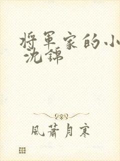 将军家的小娘子 沈锦