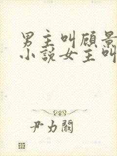 男主叫顾景琛的小说女主叫晚晚