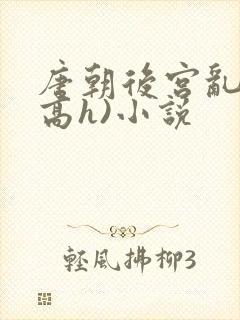 唐朝后宫乱淫(高h)小说