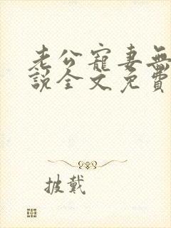 老公宠妻无度小说全文免费