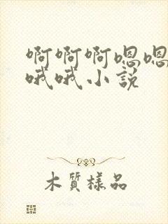 啊啊啊嗯嗯嗯哦哦哦小说