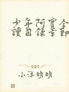 少年阿宾全文阅读目录章节