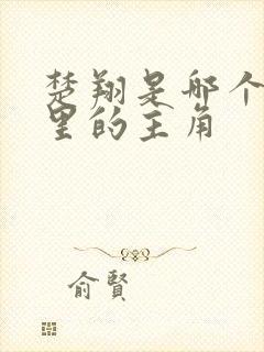 楚翔是哪个小说里的主角