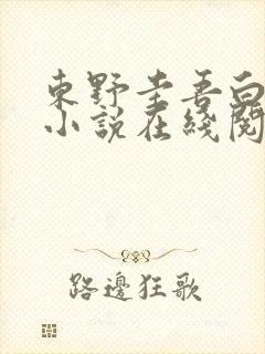 东野圭吾白夜行小说在线阅读