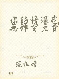 你的情深我不配无弹窗免费阅读