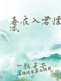 春夜入君怀无删减