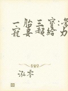 一胎三宝:爹地宠妻超给力