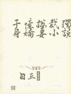 千亿总裁独宠替身娇妻小说