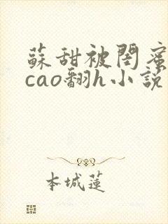 苏甜被闺蜜男友cao翻h小说