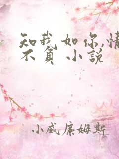 知我如你,情深不负 小说