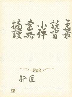 摘棠小说免费阅读无弹窗最新章节