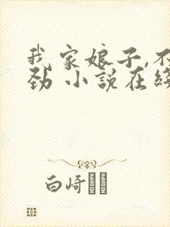 我家娘子,不对劲 小说在线阅读