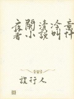 夜阑清冷意欢原著小说叫什么