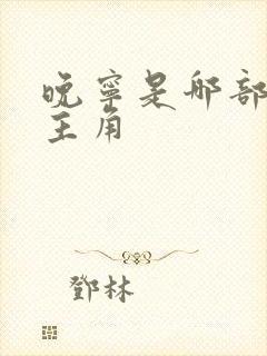 晚宁是哪部小说主角