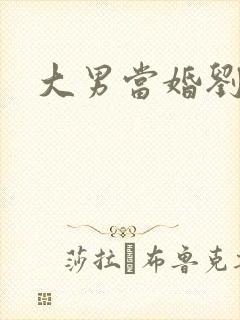 大男当婚刘晨曦