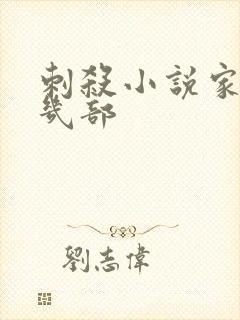 刺杀小说家一共几部